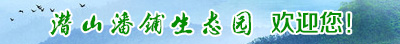 潜山潘铺生态园