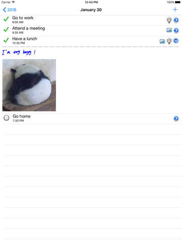 iPad Screenshot 2