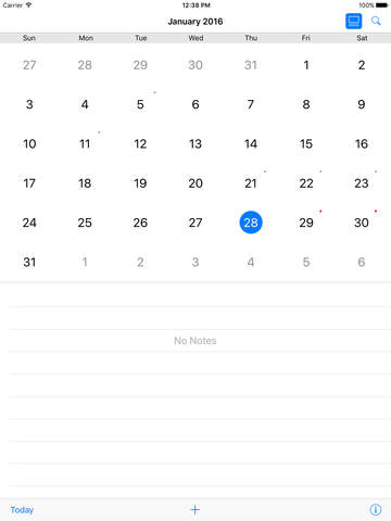 iPad Screenshot 1